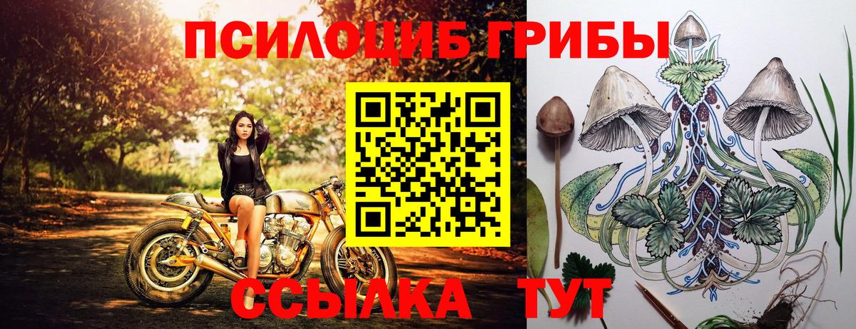 Галлюциногенные грибы прущие грибы  Вход с VPN  Фурманов 